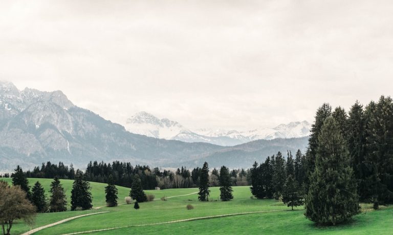 The Unconventional Guide to Outdoor Adventures: Embracing the Weird and Wonderful